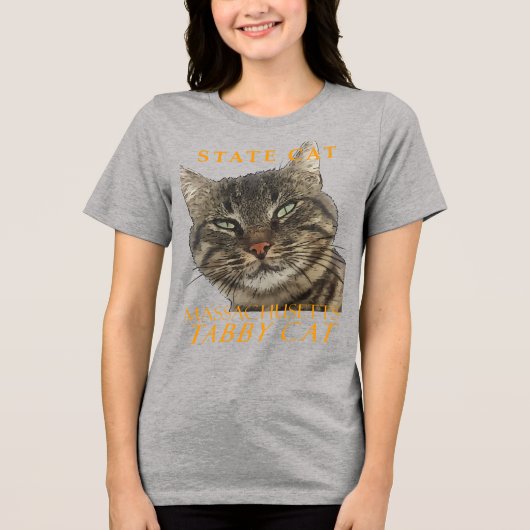 Massachusetts Territory Cat De charmante Tabby Cat Tri-Blend Shirt (Voorkant)