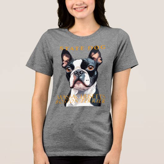 Massachusetts Territory Dog De Boston Terrier Kuns Tri-Blend Shirt (Voorkant)