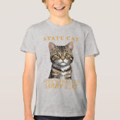 Massachusetts Territory Kat De Tabby Kat Tri-Blend Shirt (Voorkant)