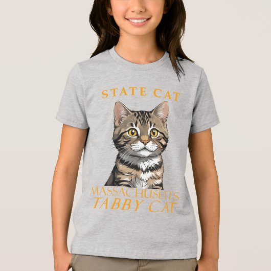Massachusetts Territory Kat De Tabby Kat Tri-Blend Shirt (Voorkant)