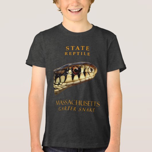 Massachusetts Territory Reptile De Garter Slang Tri-Blend Shirt (Voorkant)
