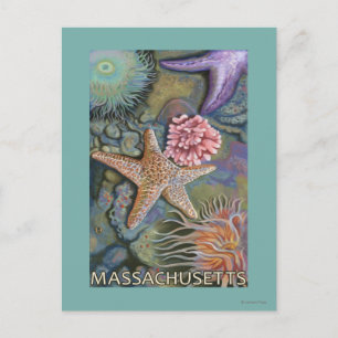 Massachusetts Tidepool Scene Briefkaart