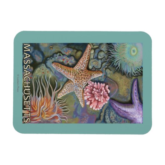 Massachusetts Tidepool Scene Magneet (Horizontaal)