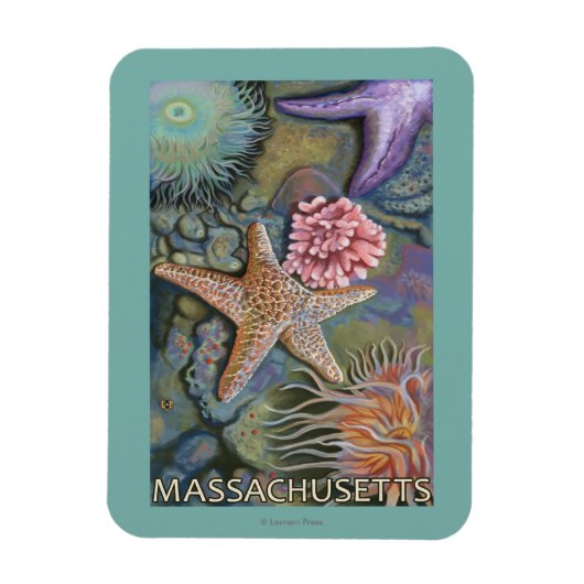 Massachusetts Tidepool Scene Magneet (Verticaal)
