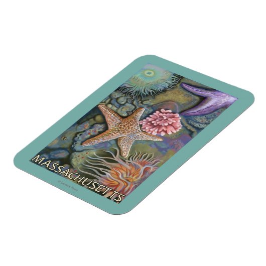 Massachusetts Tidepool Scene Magneet (Linkerzijde)