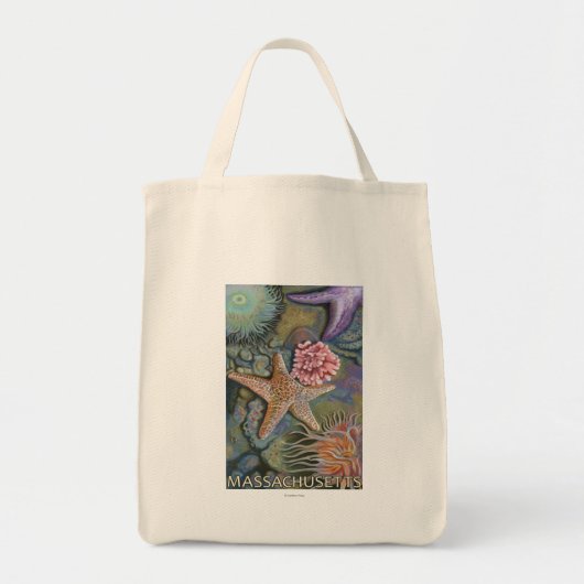 Massachusetts Tidepool Scene Tote Bag (Voorkant)