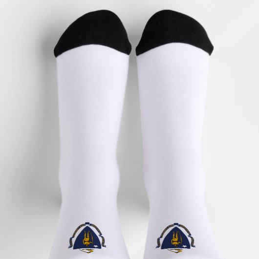 Massachusetts vlag sokken (Top)