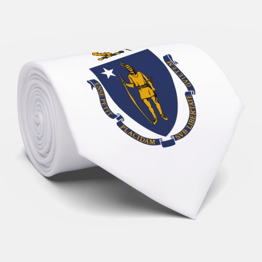 Massachusetts vlag stropdas (Opgerold)