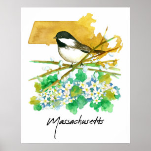 Massachusetts Vogel Chickadee Wilgentakken Poster