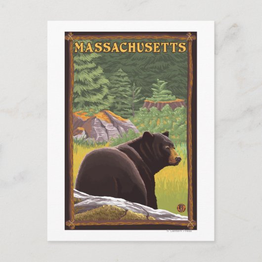 MassachusettsBlack Beer in het bos Briefkaart (Voorkant)