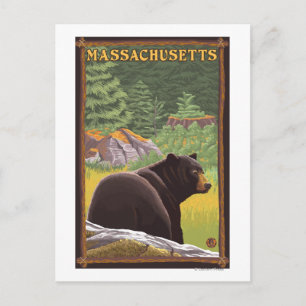 MassachusettsBlack Beer in het bos Briefkaart