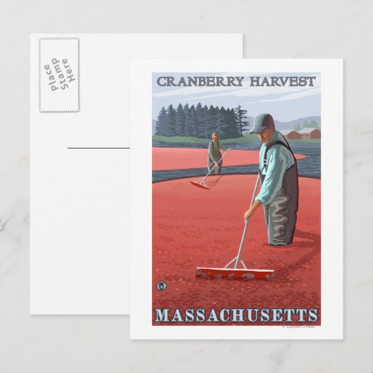 MassachusettsCranberry Bog Harvest Briefkaart (Voorkant / Achterkant)