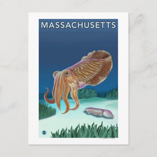 MassachusettsCuttlefish Scene Briefkaart (Voorkant)