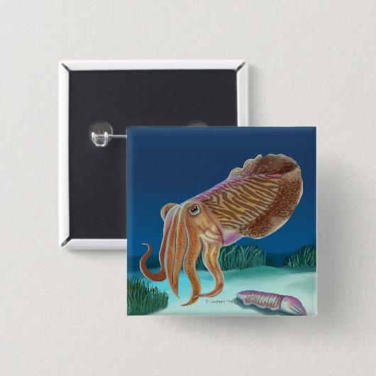 MassachusettsCuttlefish Scene Vierkante Button 5,1 Cm (Voorkant /achterkant)