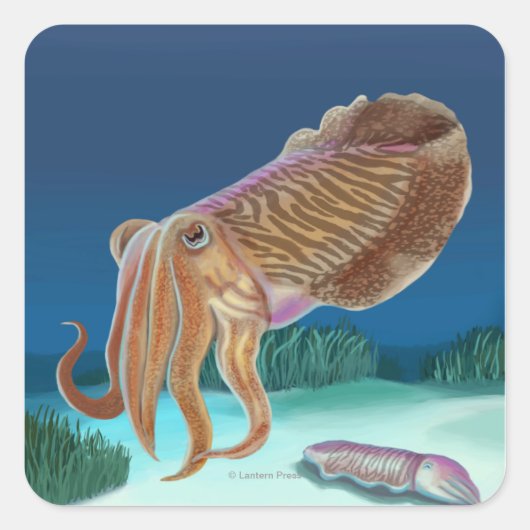 MassachusettsCuttlefish Scene Vierkante Sticker (Voorkant)