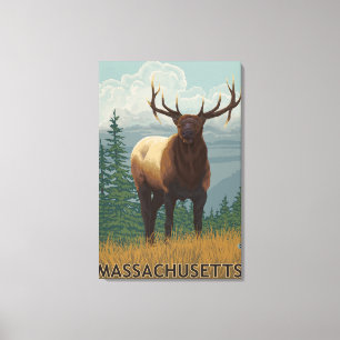 MassachusettsElk Scene Canvas Afdruk