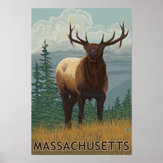 MassachusettsElk Scene Poster (Voorkant)