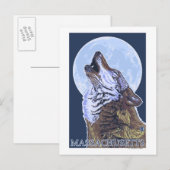 MassachusettsHowling Wolf Briefkaart (Voorkant / Achterkant)