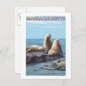 MassachusettsSea Lions Scene Briefkaart (Voorkant / Achterkant)