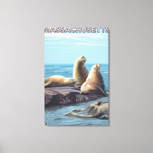MassachusettsSea Lions Scene Canvas Afdruk