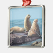 MassachusettsSea Lions Scene Metalen Ornament (Links)