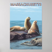 MassachusettsSea Lions Scene Poster (Voorkant)