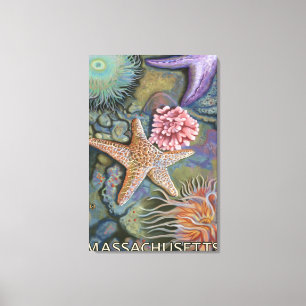 MassachusettsTidepool Scene Canvas Afdruk