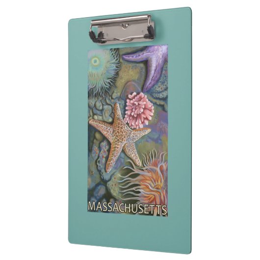 MassachusettsTidepool Scene Klembord (Links)