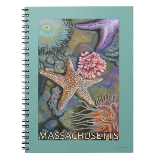 MassachusettsTidepool Scene Notitieboek (Voorkant)