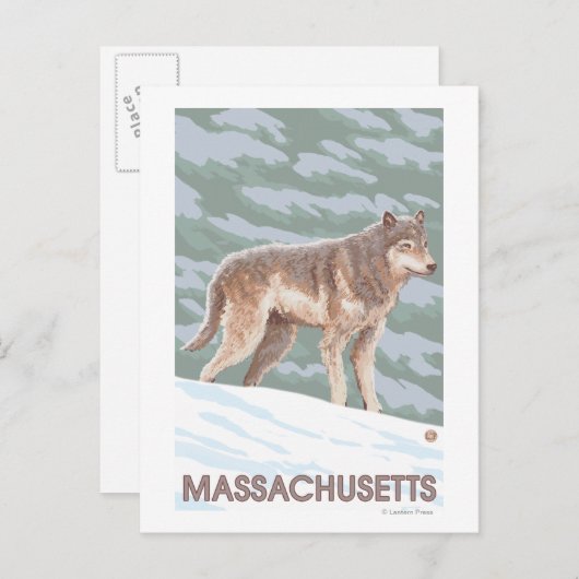 MassachusettsWolf Scene Briefkaart (Voorkant / Achterkant)