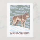 MassachusettsWolf Scene Briefkaart (Voorkant)