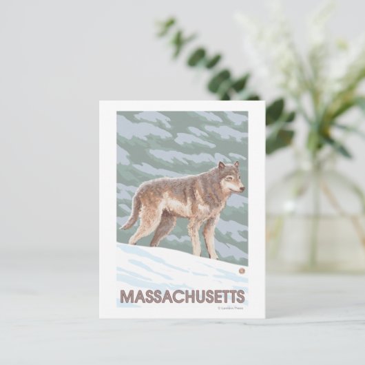 MassachusettsWolf Scene Briefkaart (Staand voorkant)