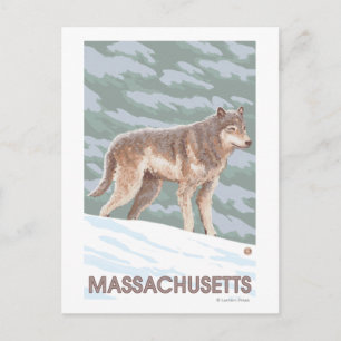 MassachusettsWolf Scene Briefkaart