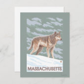 MassachusettsWolf Scene Briefkaart (Voorkant / Achterkant)