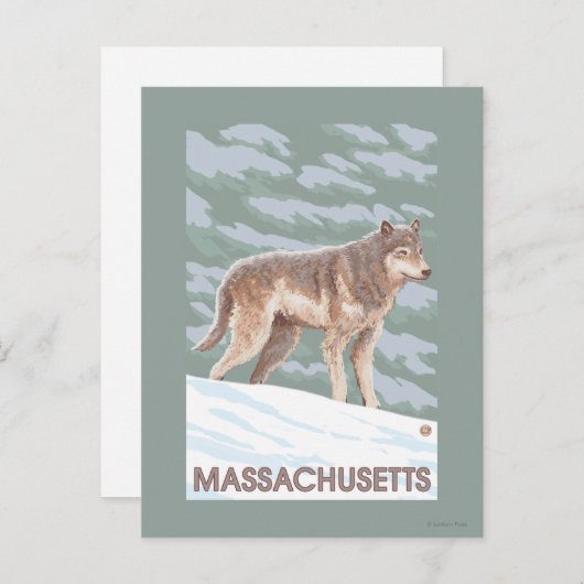MassachusettsWolf Scene Briefkaart (Voorkant / Achterkant)