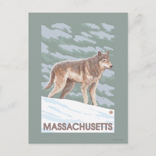 MassachusettsWolf Scene Briefkaart (Voorkant)
