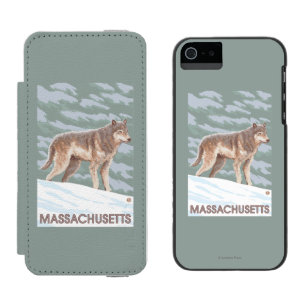 MassachusettsWolf Scene