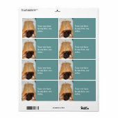 Massaetiket wolsteen etiket (Full Sheet)