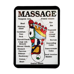 Massage Thai Foot ~ Reflexology-kaart Magneet