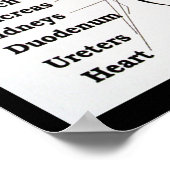 Massage Thai Foot ~ Reflexology-kaart Poster (Hoek)