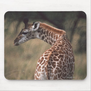 Massai Giraffe 2 Muismat