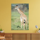 Massai Giraffe Baby Canvas Afdruk (Insitu (Woonkamer))