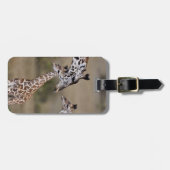 Massai-giraffe (Giraffe Tippelskirchi) Bagagelabel (Voorkant horizontaal)