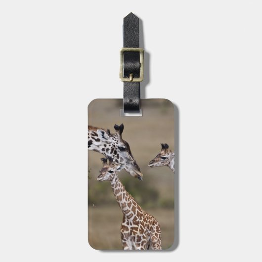 Massai-giraffe (Giraffe Tippelskirchi) Bagagelabel (Voorkant verticaal)