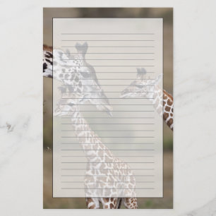 Massai-giraffe (Giraffe Tippelskirchi) Briefpapier