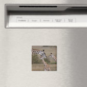 Massai-giraffe (Giraffe Tippelskirchi) Magneet (Insitu (Vaatwasser))