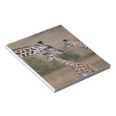 Massai-giraffe (Giraffe Tippelskirchi) Notitieblok (Schuin)