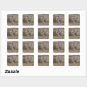 Massai-giraffe (Giraffe Tippelskirchi) Vierkante Sticker (Vel)