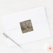 Massai-giraffe (Giraffe Tippelskirchi) Vierkante Sticker (Envelop)