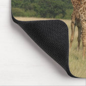 Massai Giraffes Muismat (Hoek)
